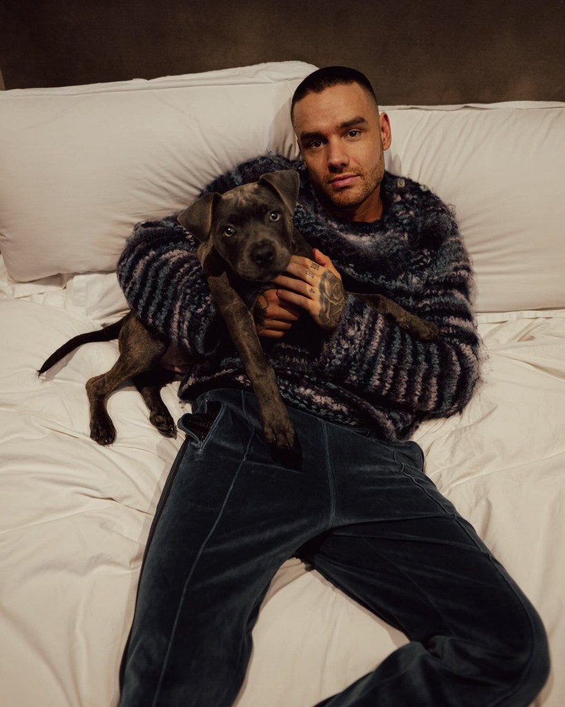 liam payne